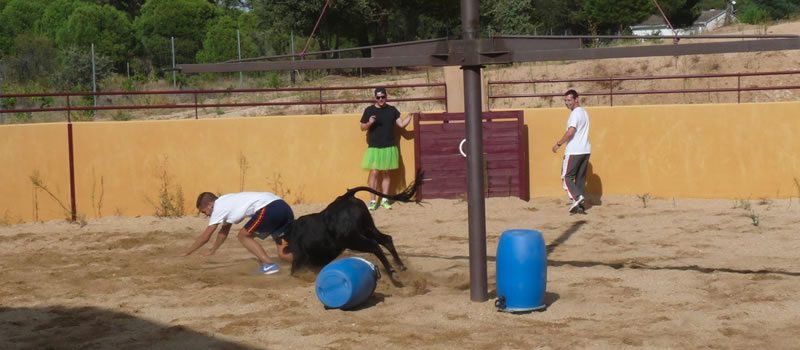 Capeas en León