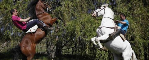 Ruta a caballo en León. Actividades en León. Aventura y ocio en León